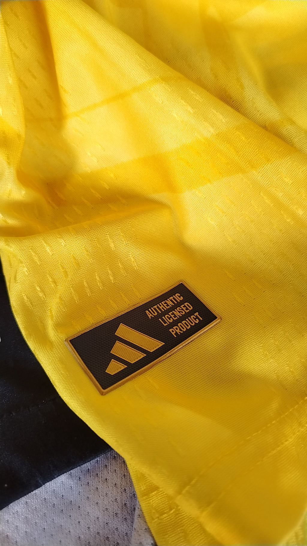 Club América Local 2026/27