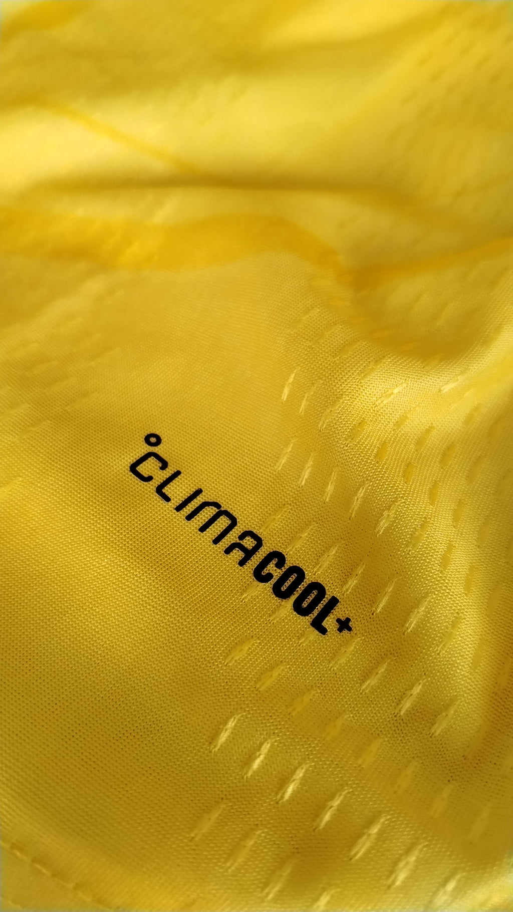 Club América Local 2026/27