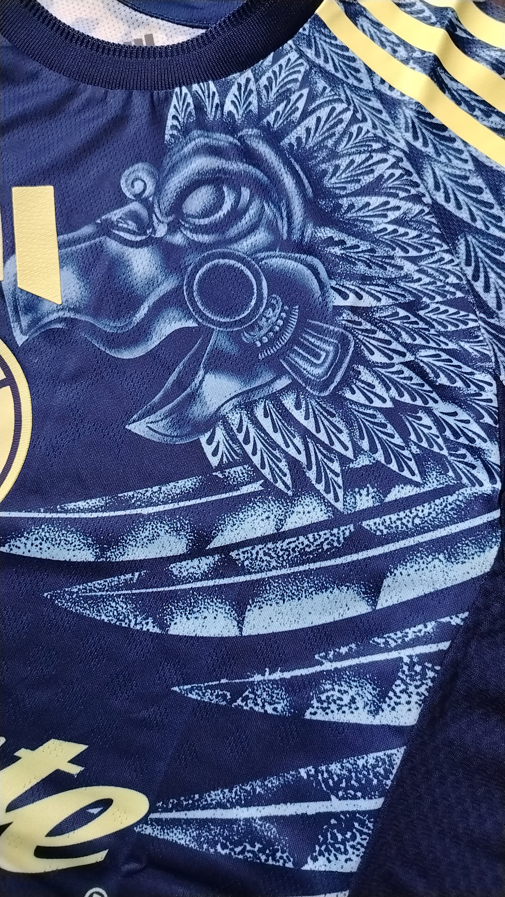 Club América Visita 2025/26